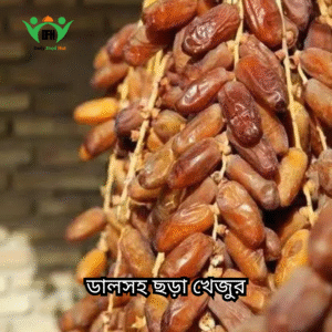 Home ডালসহ ছড়া খেজুর (chora dates)